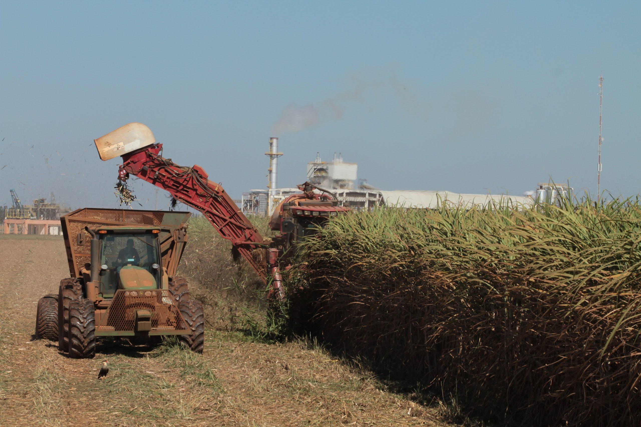 Produtores de Etanol ganham nova oportunidade tributária